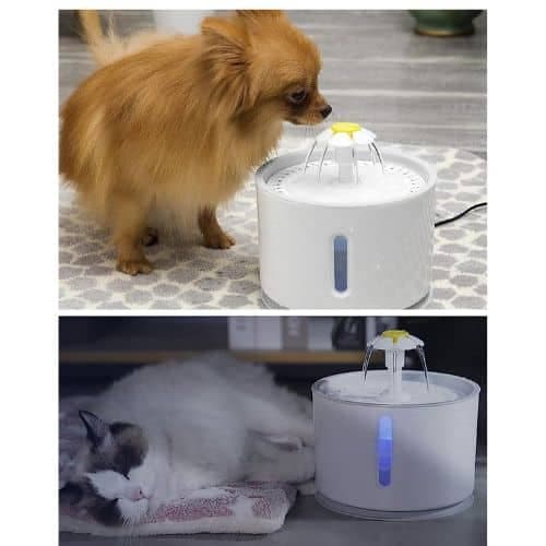 Bebedero Fuente De Agua Led Perros Gatos Automatico 2.4 Litros 2