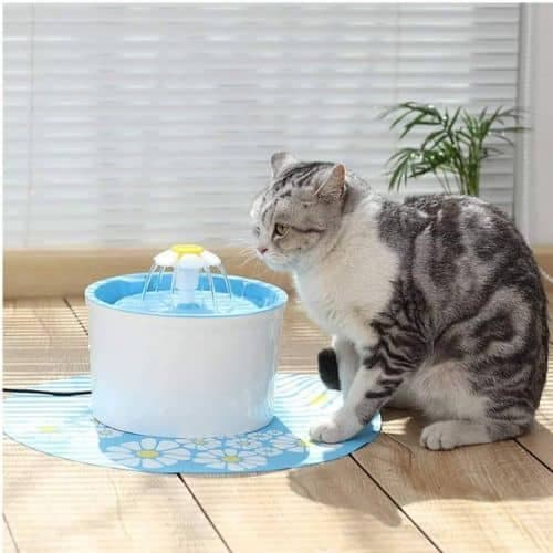 Bebedero Fuente De Agua Led Perros Gatos Automatico 2.4 Litros 3