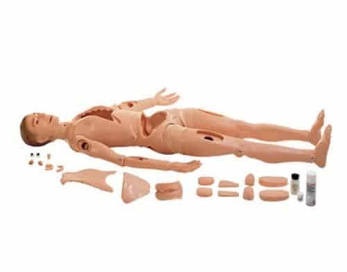 Maniqui Escuela Enfermeria Medicina Cuerpo Humano Rcp