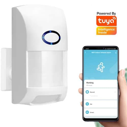 Sensor Movimiento Pir Interior Con App Wifi