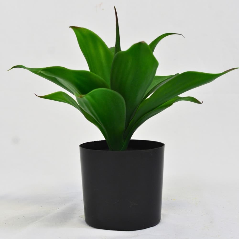 Planta Artificial Falsa Tipo Agave 35cm