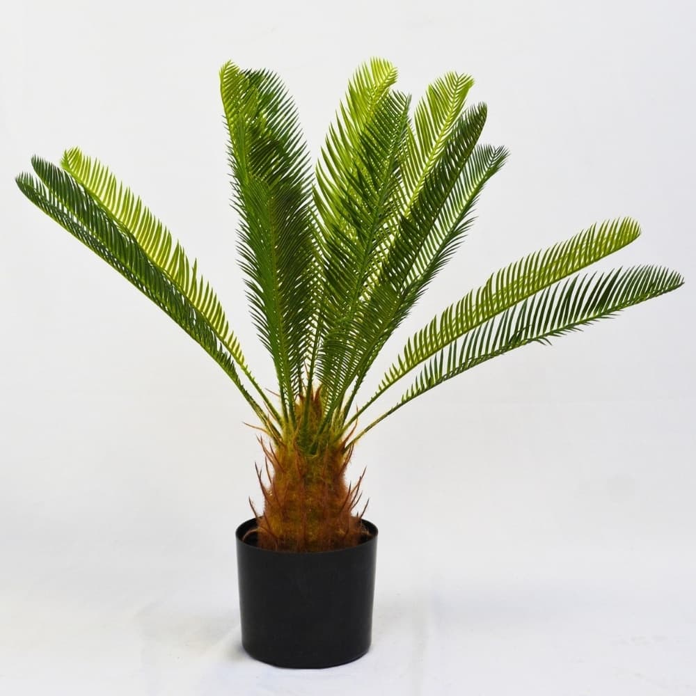 Planta Artificial Cycas revoluta 70cm