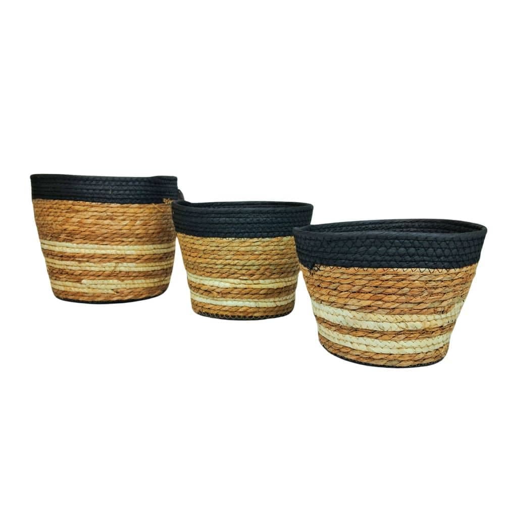Set x3 Cestos de Junco Seagrass Naturales