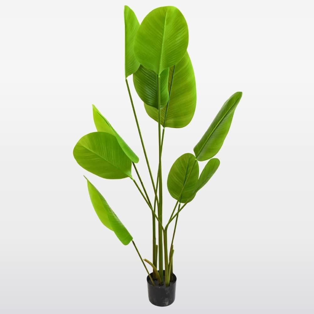 Planta Artificial Strelitzia Nicolai XL 180cm
