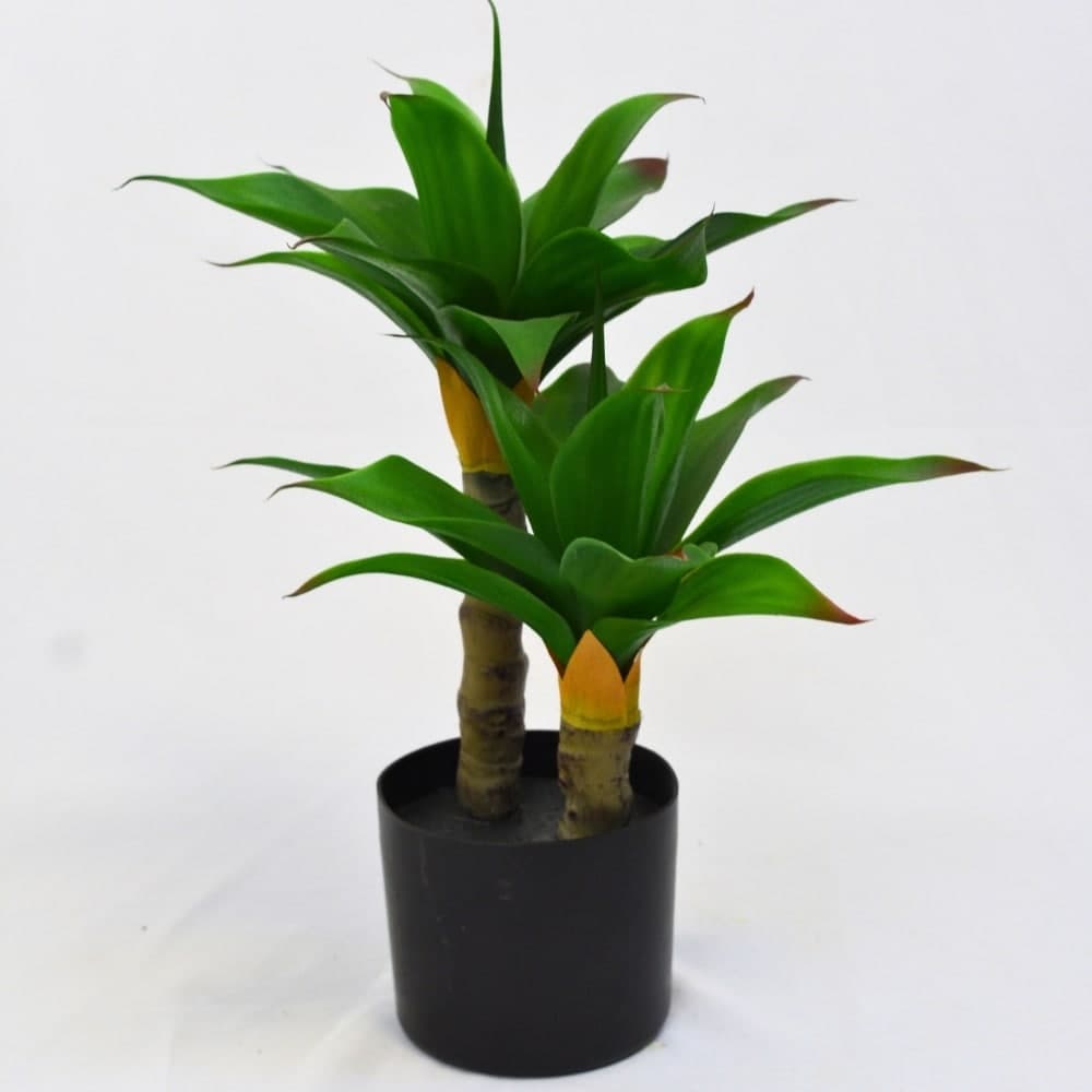 Planta Artificial Dracaena Hiperrealista 50cm