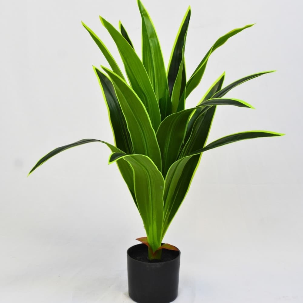 Planta Artificial Dracaena Hiperrealista 80cm