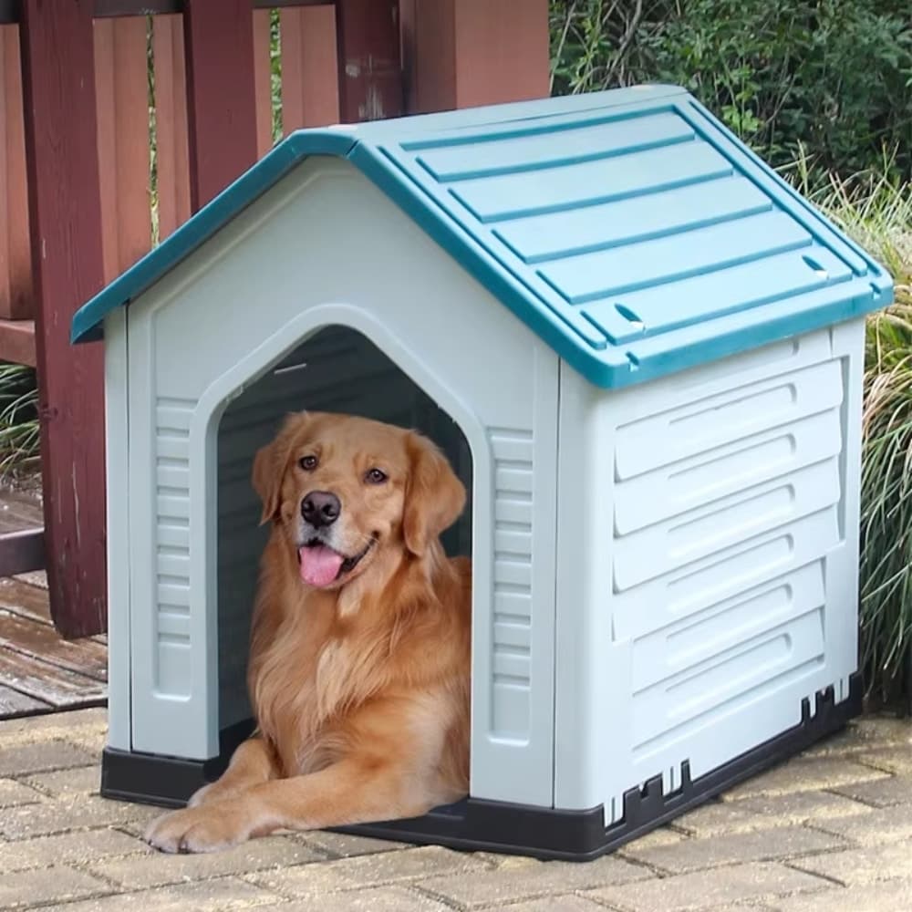 Casa Cucha para Perros en Plastico