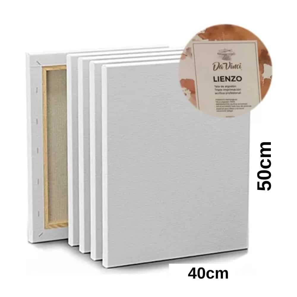 Lienzo Bastidor Marco Madera Cuadro Blanco Pintura Oleo 40x50