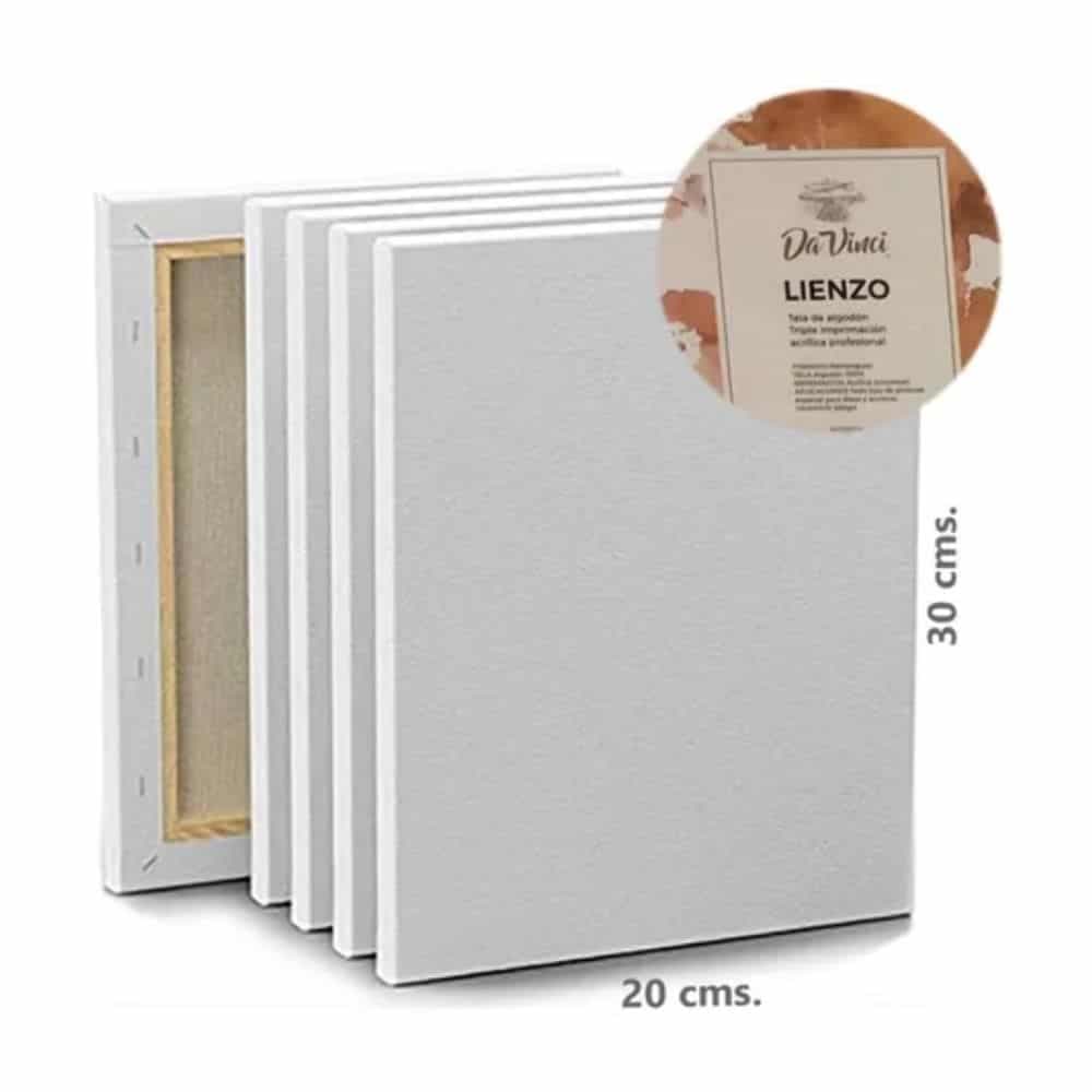 Lienzo Bastidor Marco Madera Cuadro Blanco Pintura Oleo 20x30 Cm