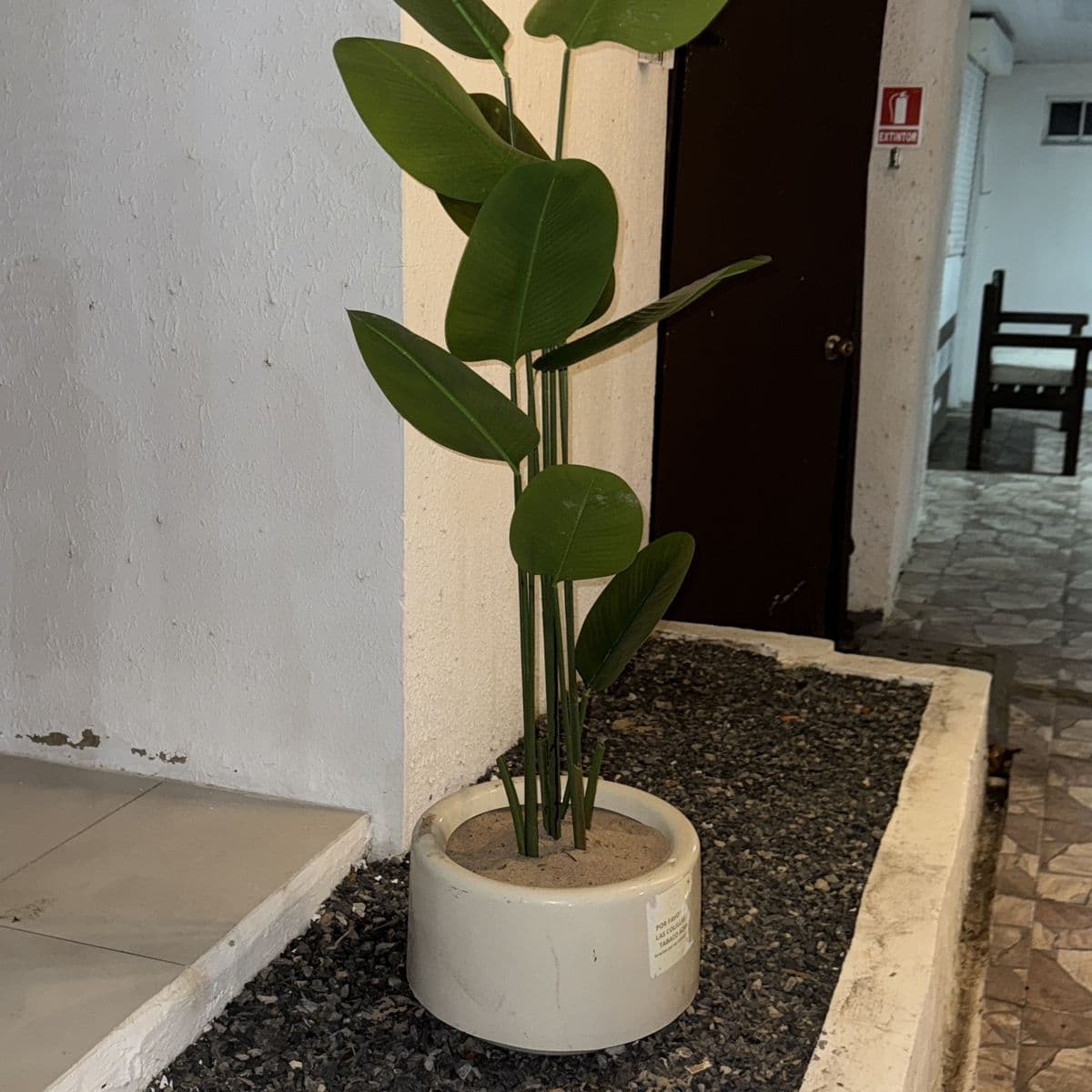 Foto de Camila Rinaldis