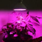 Luz Lampara Full Espectro Cultivo