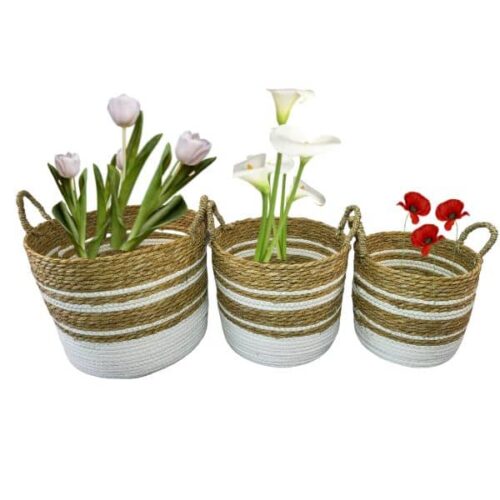 Set 3 Cesto Con Manijas De Seagrass Natural