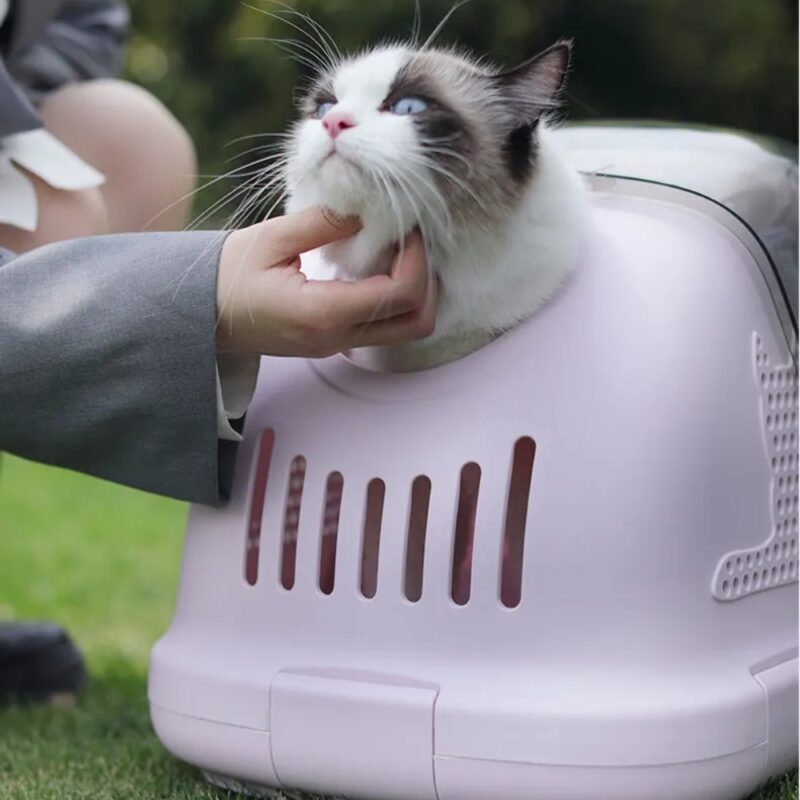 Transportadora para mascota con gato adentro siendo acariciado