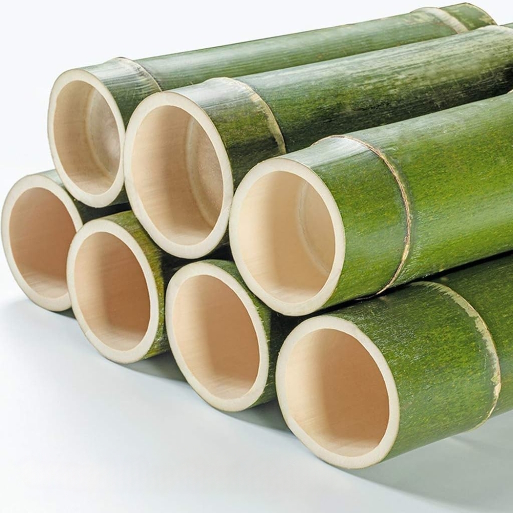 cañas de bambu