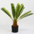 Planta Artificial Cycas revoluta