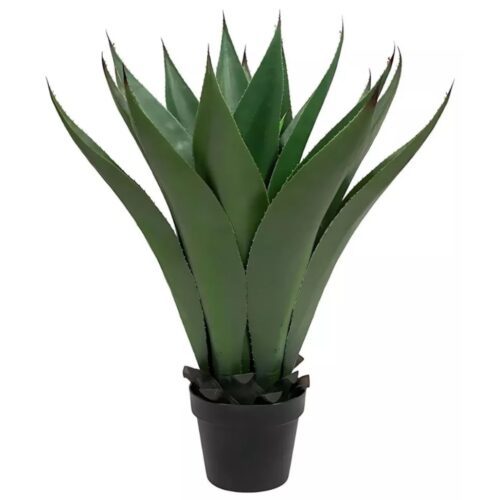 Planta 65cm