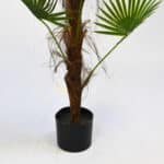 Maceta de la planta