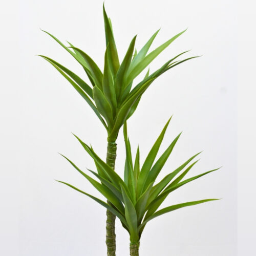 Planta detallada
