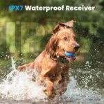 Waterproof Collar Adiestramiento Para Perros Profesional
