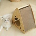 Casa Carpa para Gato