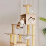 casa torre gatos