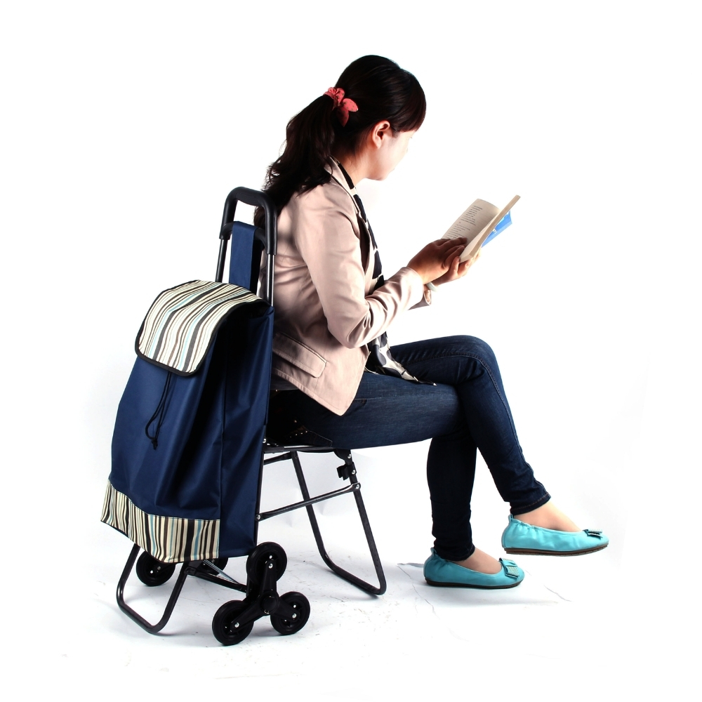 Carrito de Feria con Asiento Plegable